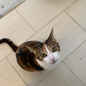 Meet your Posher, Laurel